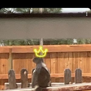 Meet your Posher, Norma